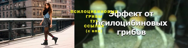 крисы Инсар