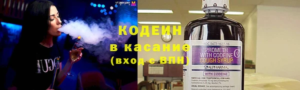 крисы Инсар