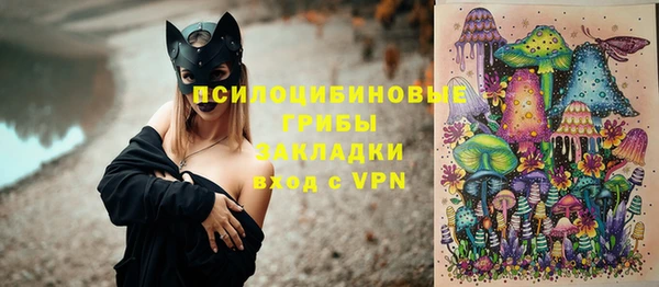 крисы Инсар