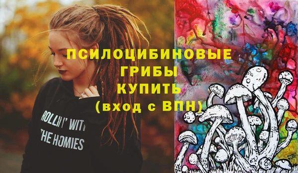 MDMA Premium VHQ Инта