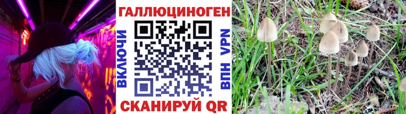 Галлюциногенные грибы Psilocybe  Купить  Качканар 
